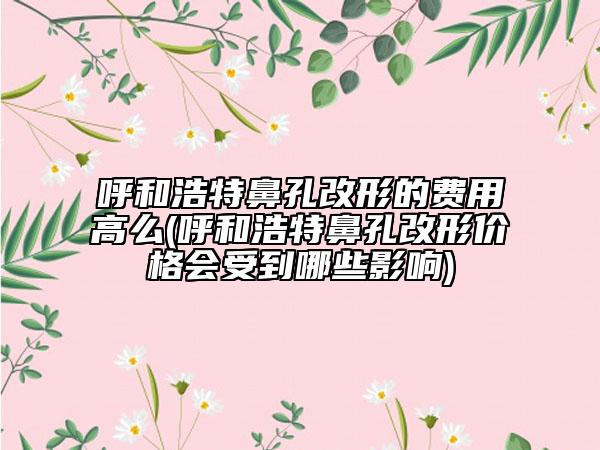 呼和浩特鼻孔改形的费用高么(呼和浩特鼻孔改形价格会受到哪些影响)