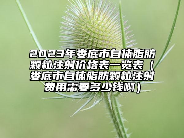 2023年娄底市自体脂肪颗粒注射价格表一览表（娄底市自体脂肪颗粒注射费用需要多少钱啊）
