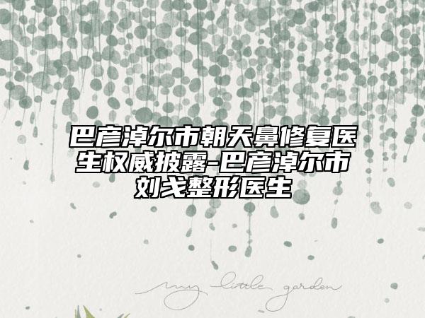 巴彦淖尔市朝天鼻修复医生权威披露-巴彦淖尔市刘戈整形医生