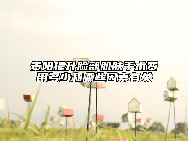 贵阳提升脸部肌肤手术费用多少和哪些因素有关