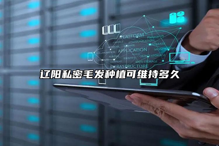 辽阳私密毛发种植可维持多久