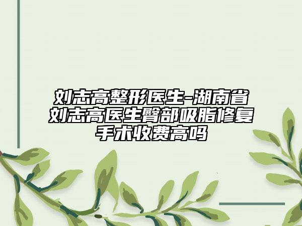 刘志高整形医生-湖南省刘志高医生臀部吸脂修复手术收费高吗