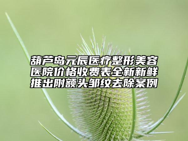 葫芦岛元辰医疗整形美容医院价格收费表全新新鲜推出附额头邹纹去除案例