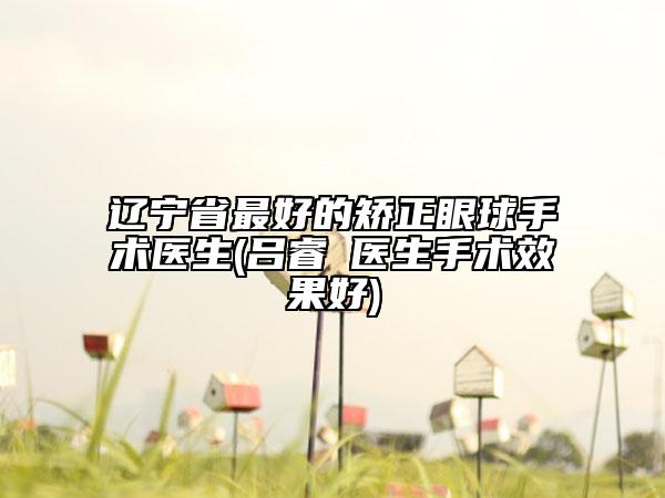 辽宁省最好的矫正眼球手术医生(吕睿紘医生手术效果好)