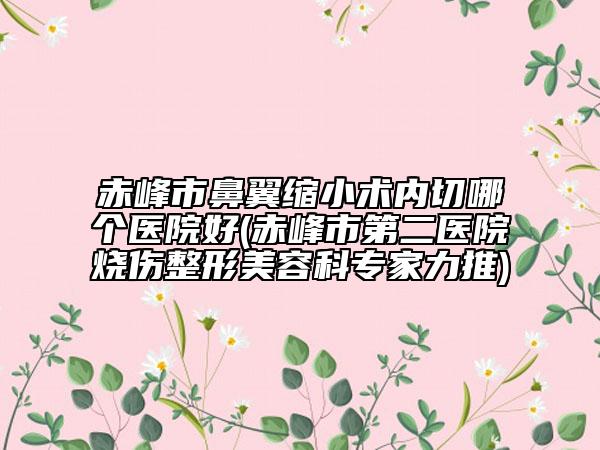 赤峰市鼻翼缩小术内切哪个医院好(赤峰市第二医院烧伤整形美容科专家力推)