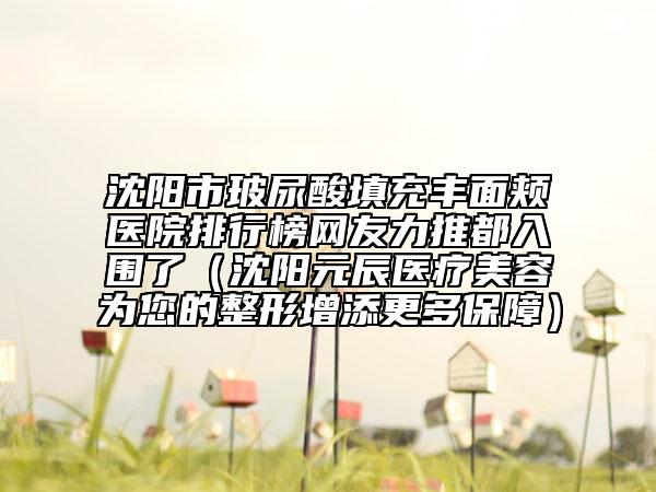 沈阳市玻尿酸填充丰面颊医院排行榜网友力推都入围了（沈阳元辰医疗美容为您的整形增添更多保障）