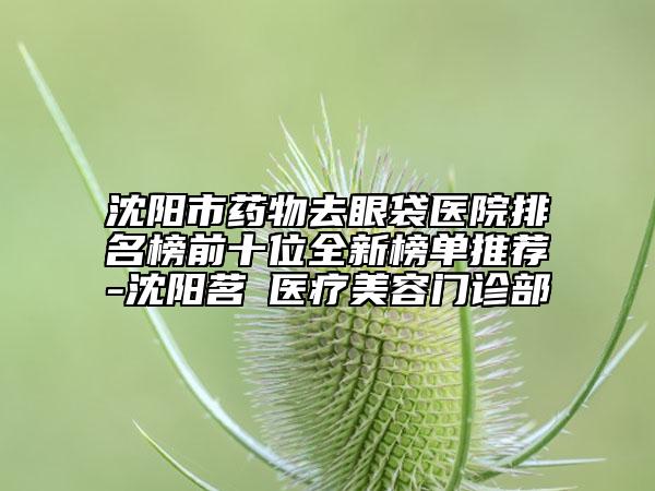 沈阳市药物去眼袋医院排名榜前十位全新榜单推荐-沈阳茗湲医疗美容门诊部