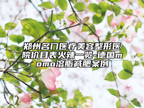 郑州名门医疗美容整形医院价目表火辣一览-德国momo溶脂减肥案例