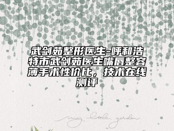 武剑茹整形医生-呼和浩特市武剑茹医生嘴唇整容薄手术性价比，技术在线测评