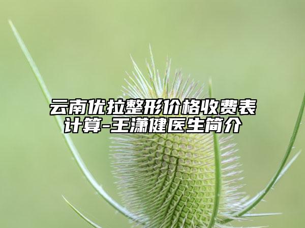 云南优拉整形价格收费表计算-王潇健医生简介