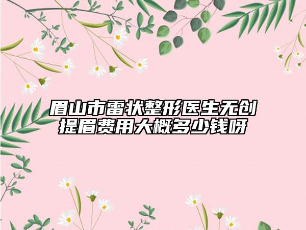 眉山市雷状整形医生无创提眉费用大概多少钱呀
