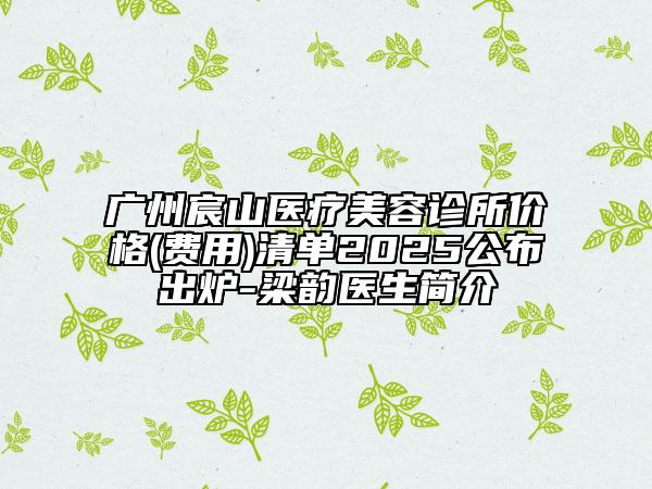 广州宸山医疗美容诊所价格(费用)清单2025公布出炉-梁韵医生简介