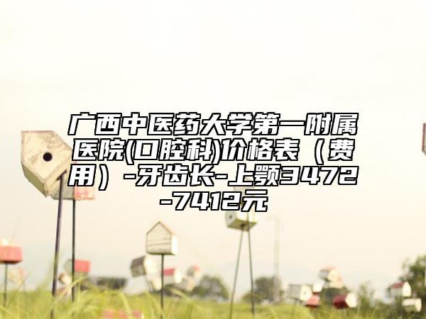 广西中医药大学第一附属医院(口腔科)价格表（费用）-牙齿长-上颚3472-7412元