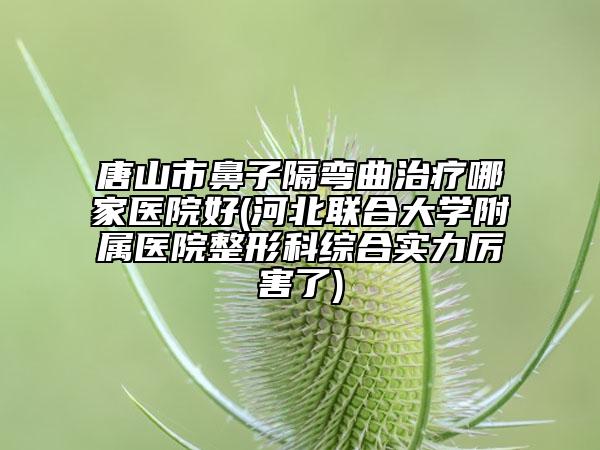 唐山市鼻子隔弯曲治疗哪家医院好(河北联合大学附属医院整形科综合实力厉害了)