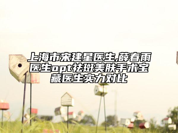 上海市宋建星医生,薛春雨医生opt祛斑美肤手术宝藏医生实力对比