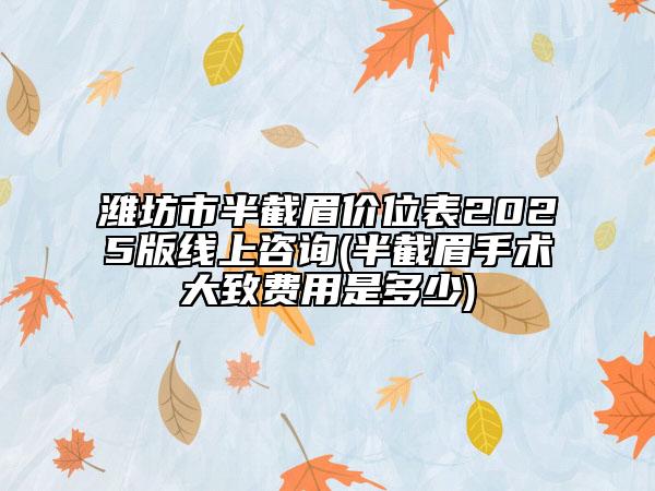 潍坊市半截眉价位表2025版线上咨询(半截眉手术大致费用是多少)