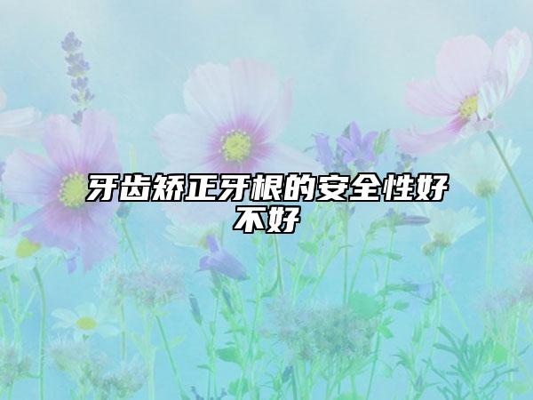 牙齿矫正牙根的安全性好不好