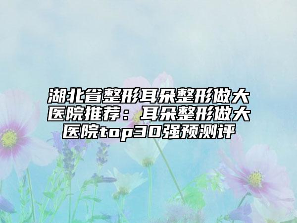 湖北省整形耳朵整形做大医院推荐：耳朵整形做大医院top30强预测评