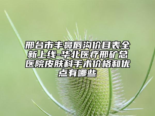 邢台市丰鼻唇沟价目表全新上线-华北医疗邢矿总医院皮肤科手术价格和优点有哪些