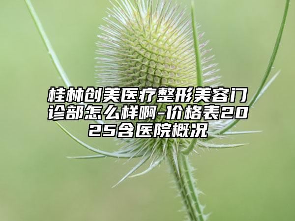 桂林创美医疗整形美容门诊部怎么样啊-价格表2025含医院概况