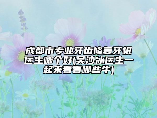 成都市专业牙齿修复牙根医生哪个好(吴沙冰医生一起来看看哪些牛)