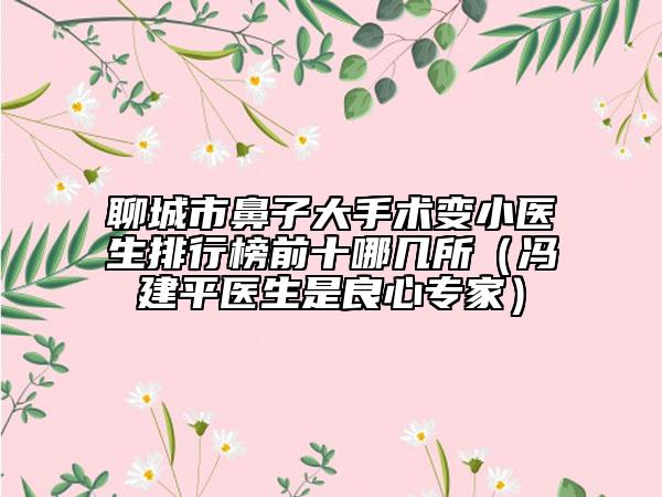 聊城市鼻子大手术变小医生排行榜前十哪几所（冯建平医生是良心专家）