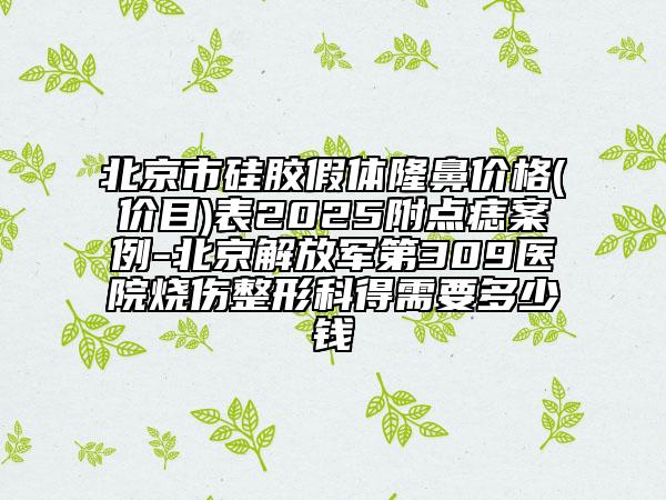 北京市硅胶假体隆鼻价格(价目)表2025附点痣案例-北京解放军第309医院烧伤整形科得需要多少钱