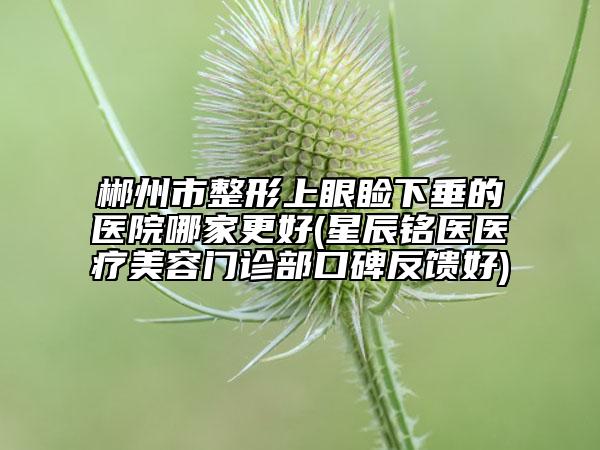 郴州市整形上眼睑下垂的医院哪家更好(星辰铭医医疗美容门诊部口碑反馈好)