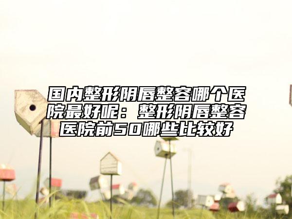 国内整形阴唇整容哪个医院最好呢：整形阴唇整容医院前50哪些比较好