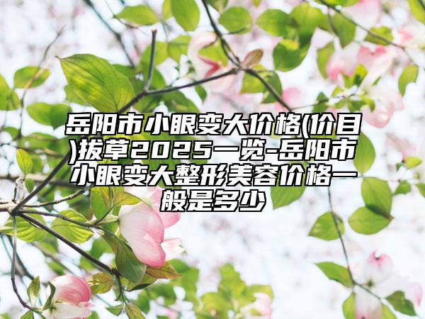 岳阳市小眼变大价格(价目)拔草2025一览-岳阳市小眼变大整形美容价格一般是多少