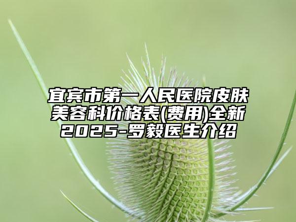 宜宾市第一人民医院皮肤美容科价格表(费用)全新2025-罗毅医生介绍