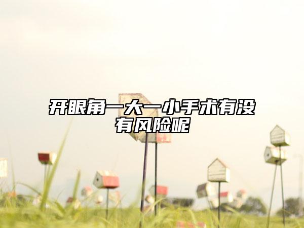 开眼角一大一小手术有没有风险呢
