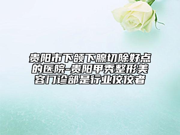 贵阳市下颌下腺切除好点的医院-贵阳甲秀整形美容门诊部是行业佼佼者