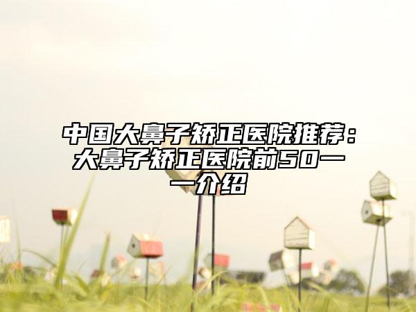 中国大鼻子矫正医院推荐：大鼻子矫正医院前50一一介绍