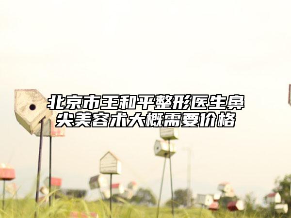 北京市王和平整形医生鼻尖美容术大概需要价格