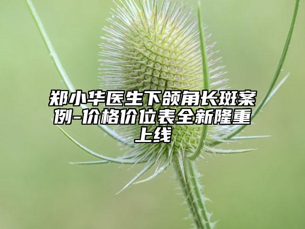 郑小华医生下颌角长斑案例-价格价位表全新隆重上线