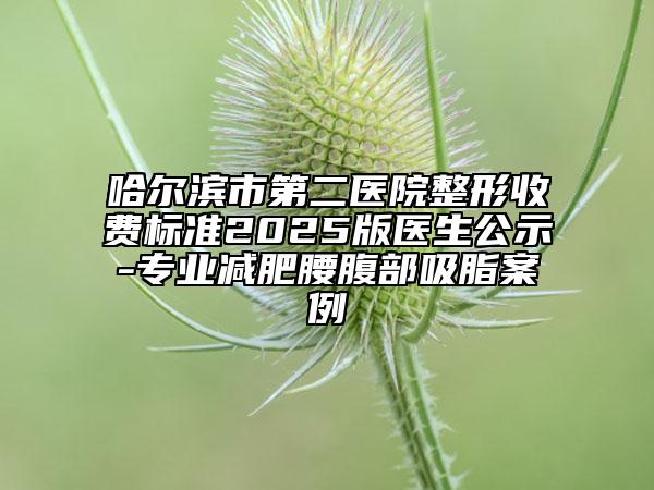 哈尔滨市第二医院整形收费标准2025版医生公示-专业减肥腰腹部吸脂案例