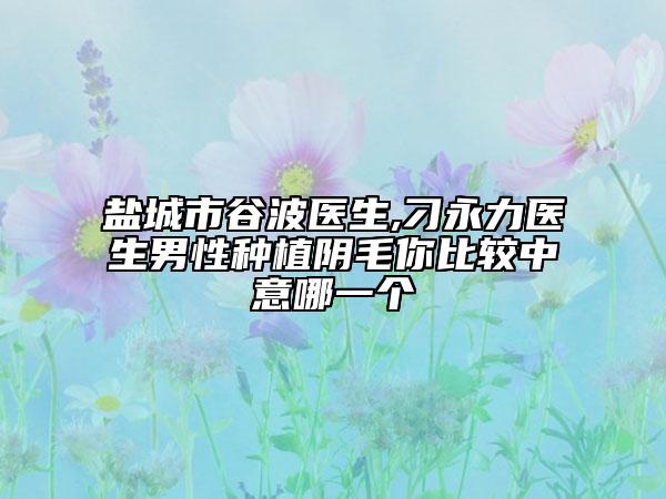 盐城市谷波医生,刁永力医生男性种植阴毛你比较中意哪一个