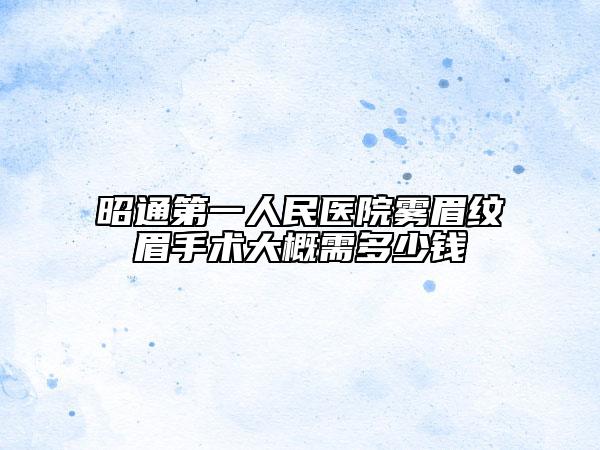 昭通第一人民医院雾眉纹眉手术大概需多少钱