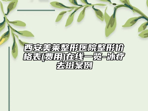 西安美莱整形医院整形价格表(费用)在线一览-冰疗去斑案例