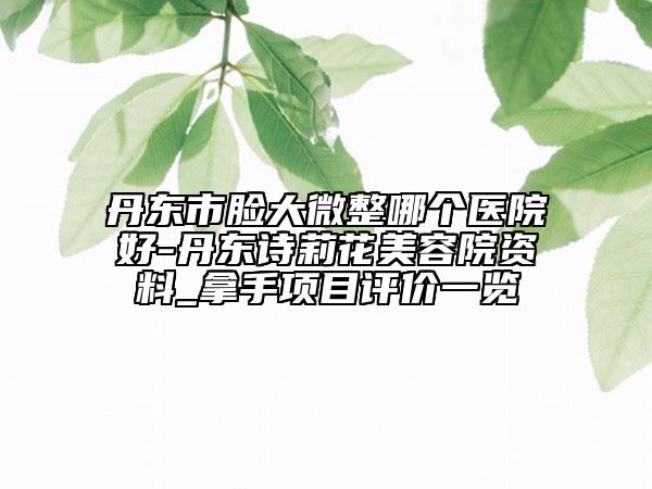 丹东市脸大微整哪个医院好-丹东诗莉花美容院资料_拿手项目评价一览