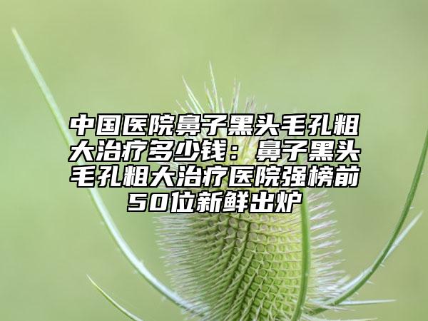 中国医院鼻子黑头毛孔粗大治疗多少钱：鼻子黑头毛孔粗大治疗医院强榜前50位新鲜出炉