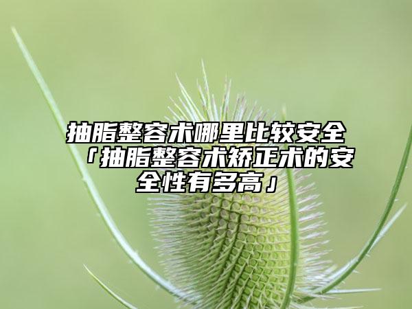抽脂整容术哪里比较安全「抽脂整容术矫正术的安全性有多高」