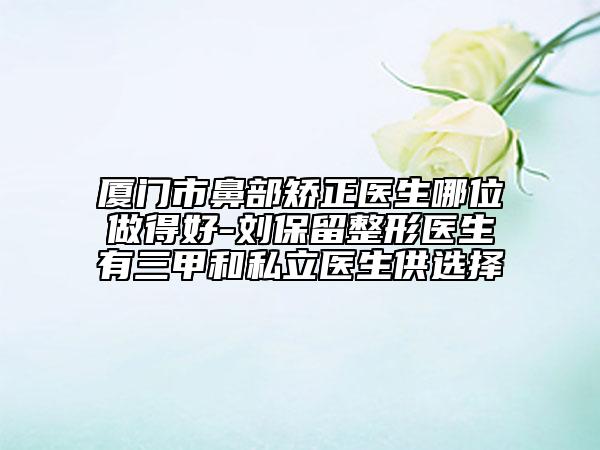 厦门市鼻部矫正医生哪位做得好-刘保留整形医生有三甲和私立医生供选择