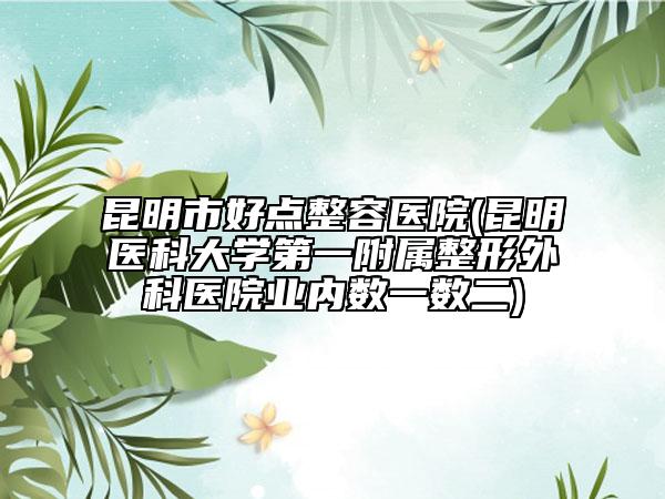 昆明市好点整容医院(昆明医科大学第一附属整形外科医院业内数一数二)