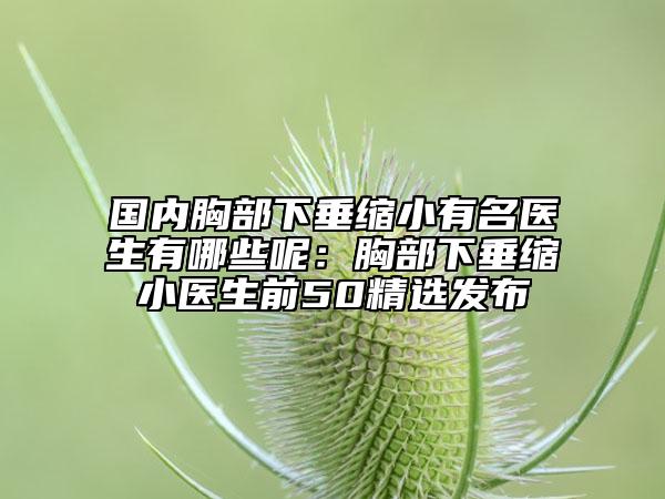 国内胸部下垂缩小有名医生有哪些呢：胸部下垂缩小医生前50精选发布