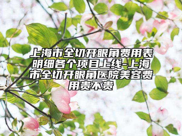 上海市全切开眼角费用表明细各个项目上线-上海市全切开眼角医院美容费用贵不贵