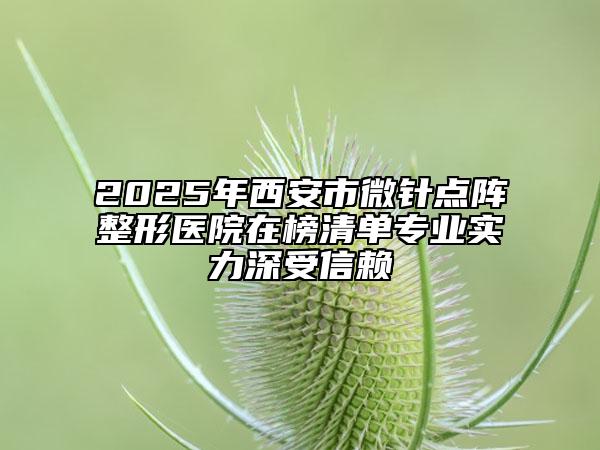 2025年西安市微针点阵整形医院在榜清单专业实力深受信赖