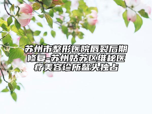苏州市整形医院唇裂后期修复-苏州姑苏区维秘医疗美容诊所鳌头独占