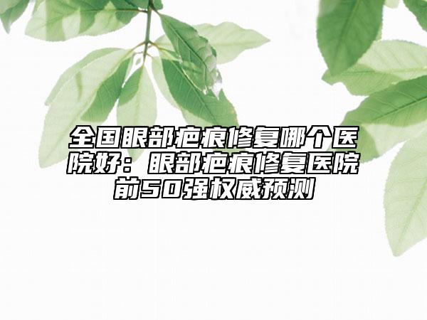全国眼部疤痕修复哪个医院好：眼部疤痕修复医院前50强权威预测